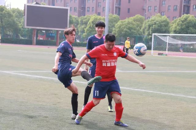 库明加：我与森林狼的完美契合与未来展望